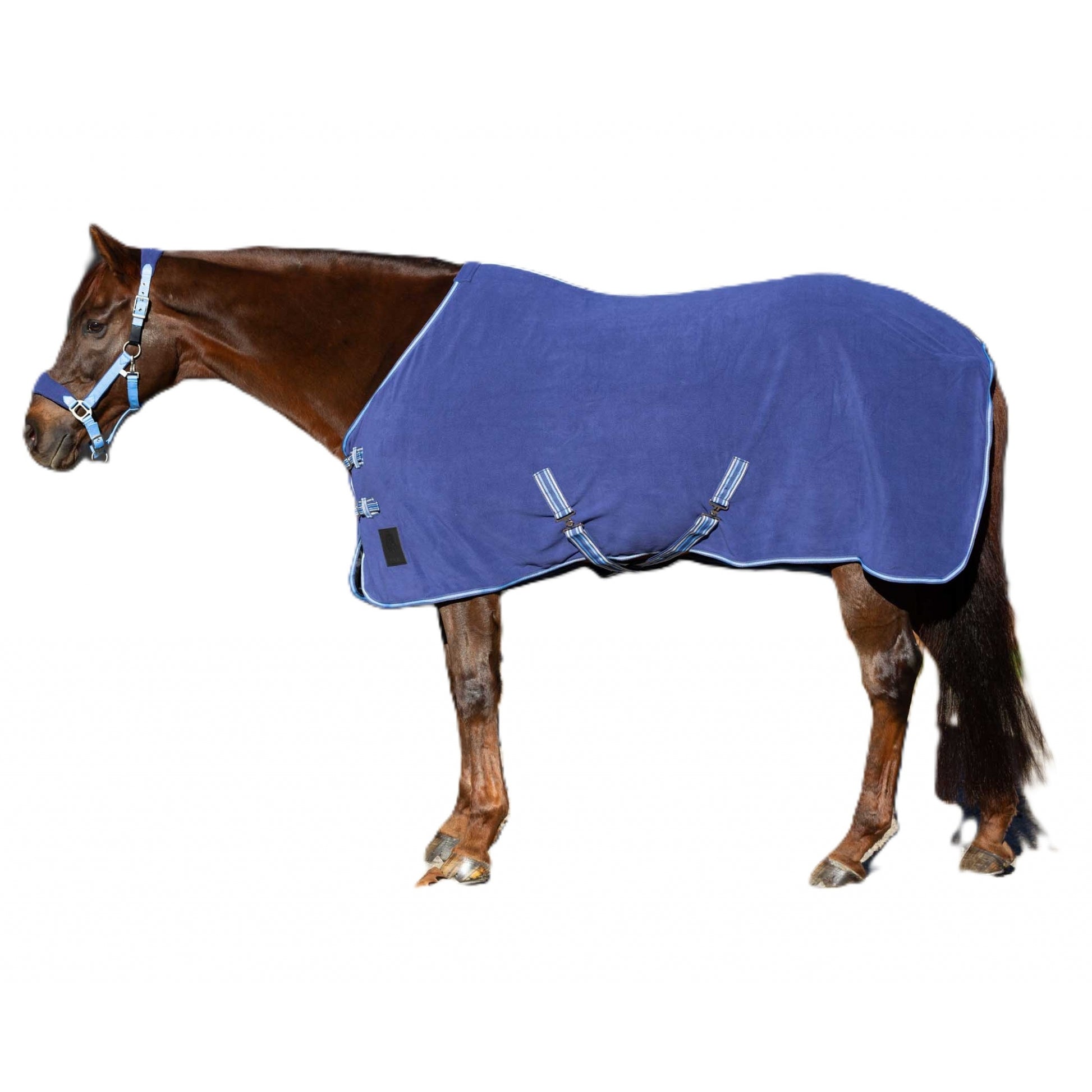 Equinavia Norse Fleece Cooler