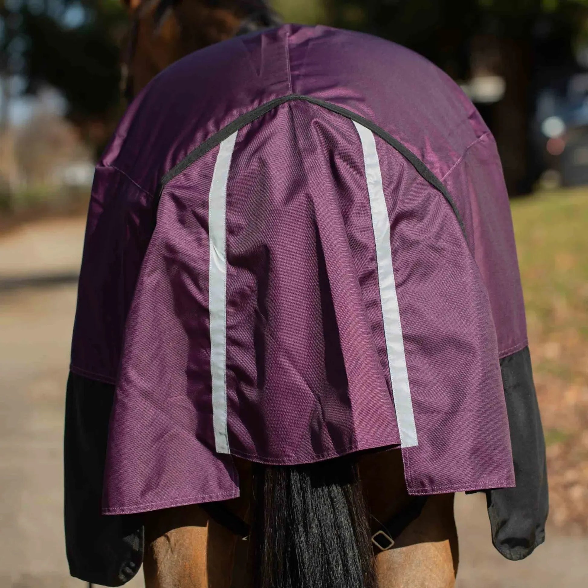 Equinavia Thunder 360 DAN TO 200g