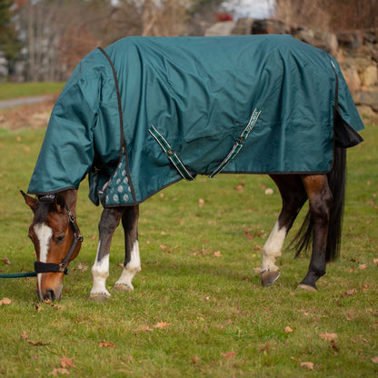 Equinavia Arktis Regular Neck Mid Weight Turnout Blanket 200g