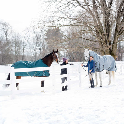 Equinavia Arktis Regular Neck Mid Weight Turnout Blanket 200g