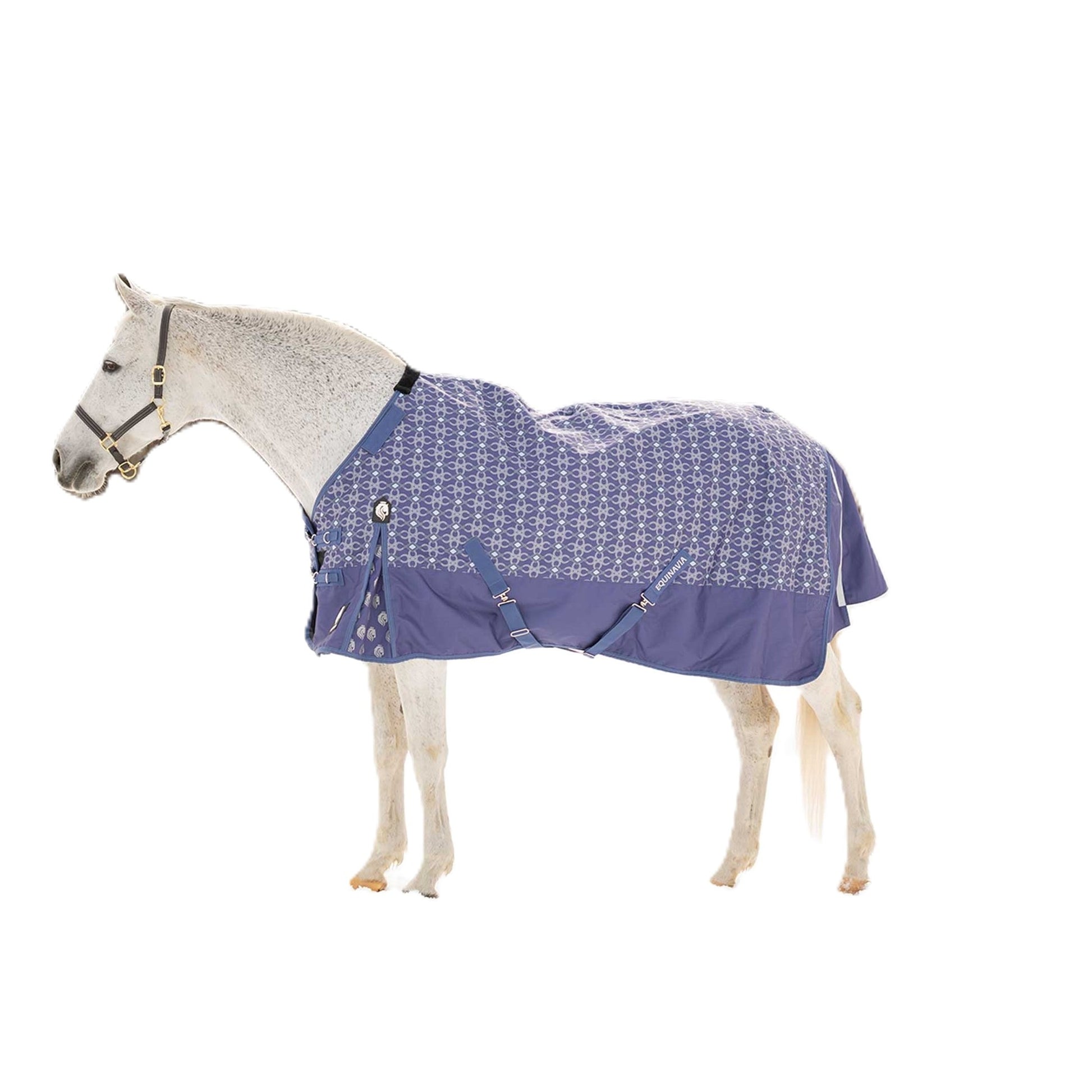 Equinavia Arktis Regular Neck Mid Weight Turnout Blanket 200g