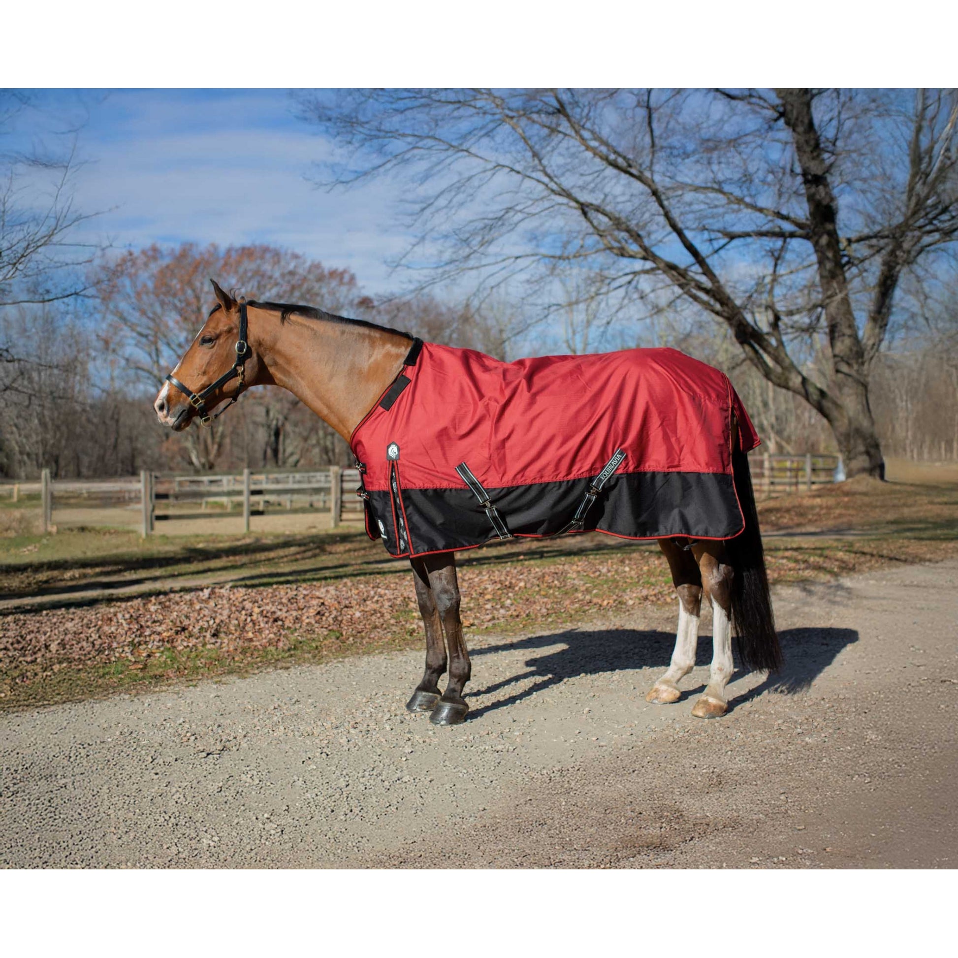 Equinavia Norse Heavy Weight TO 300g