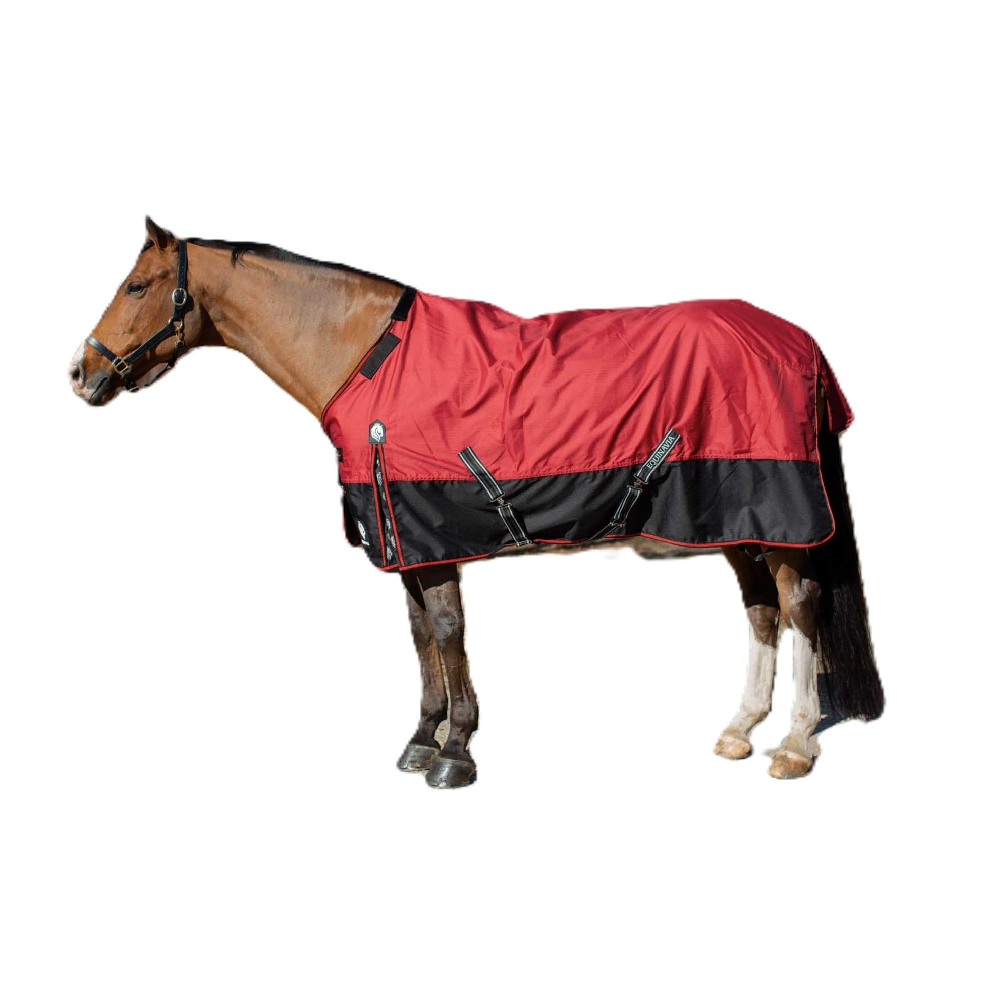 Equinavia Norse Heavy Weight TO 300g