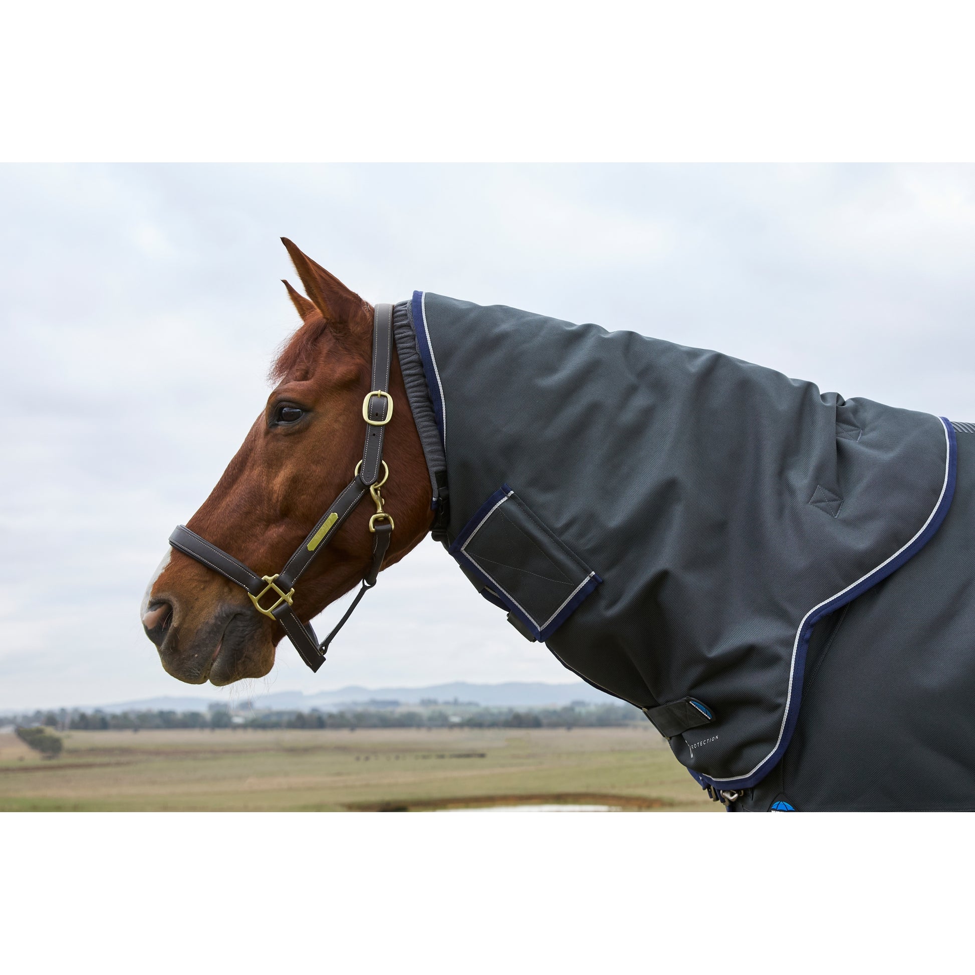 Weatherbeeta ComFiTec Ultra Turnout Detach-A-Neck 220g