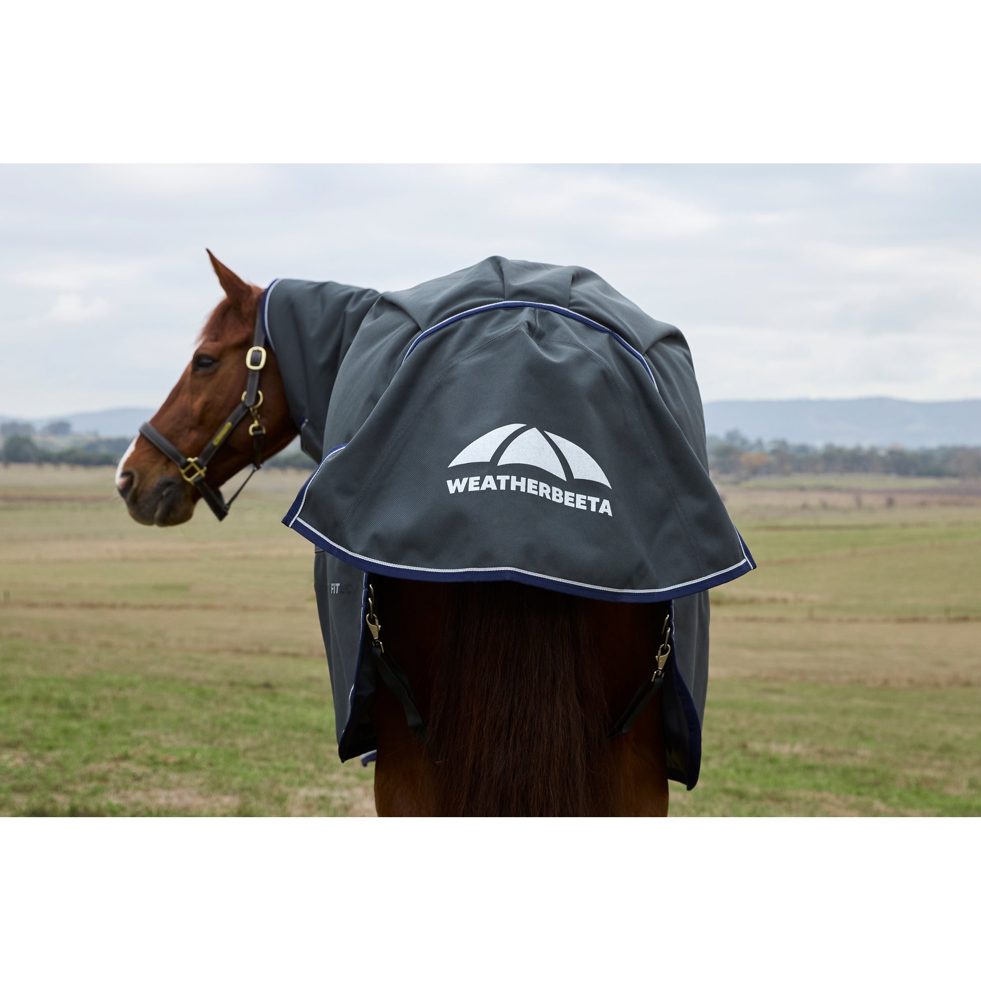 Weatherbeeta ComFiTec Ultra Turnout Detach-A-Neck 220g