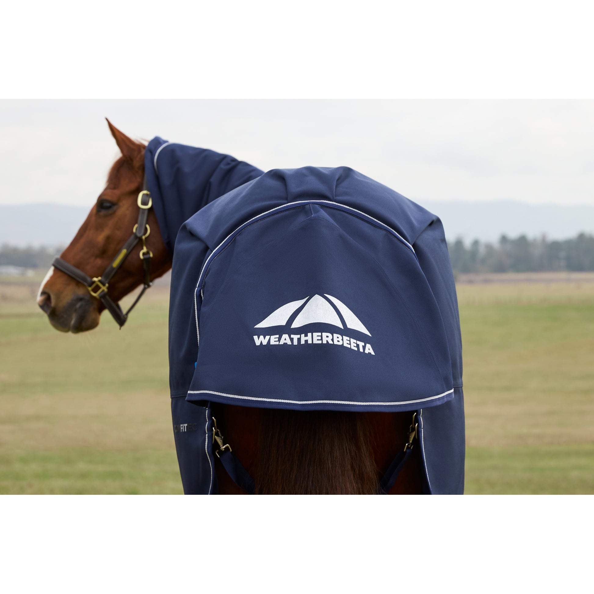Weatherbeeta ComFiTec Ultra Turnout Detach-A-Neck 220g