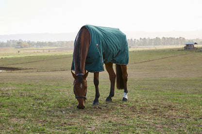 Weatherbeeta ComFiTec Plus Dynamic Turnout Detach-A-Neck 220g