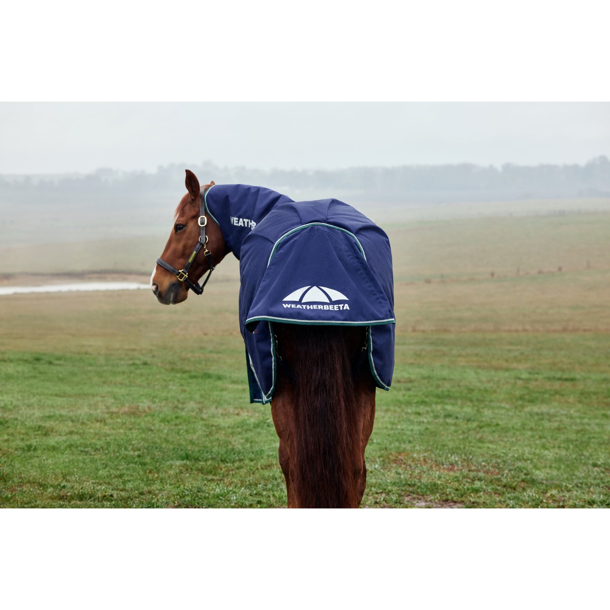 Weatherbeeta ComFiTec Plus Dynamic Turnout Detach-A-Neck 220g
