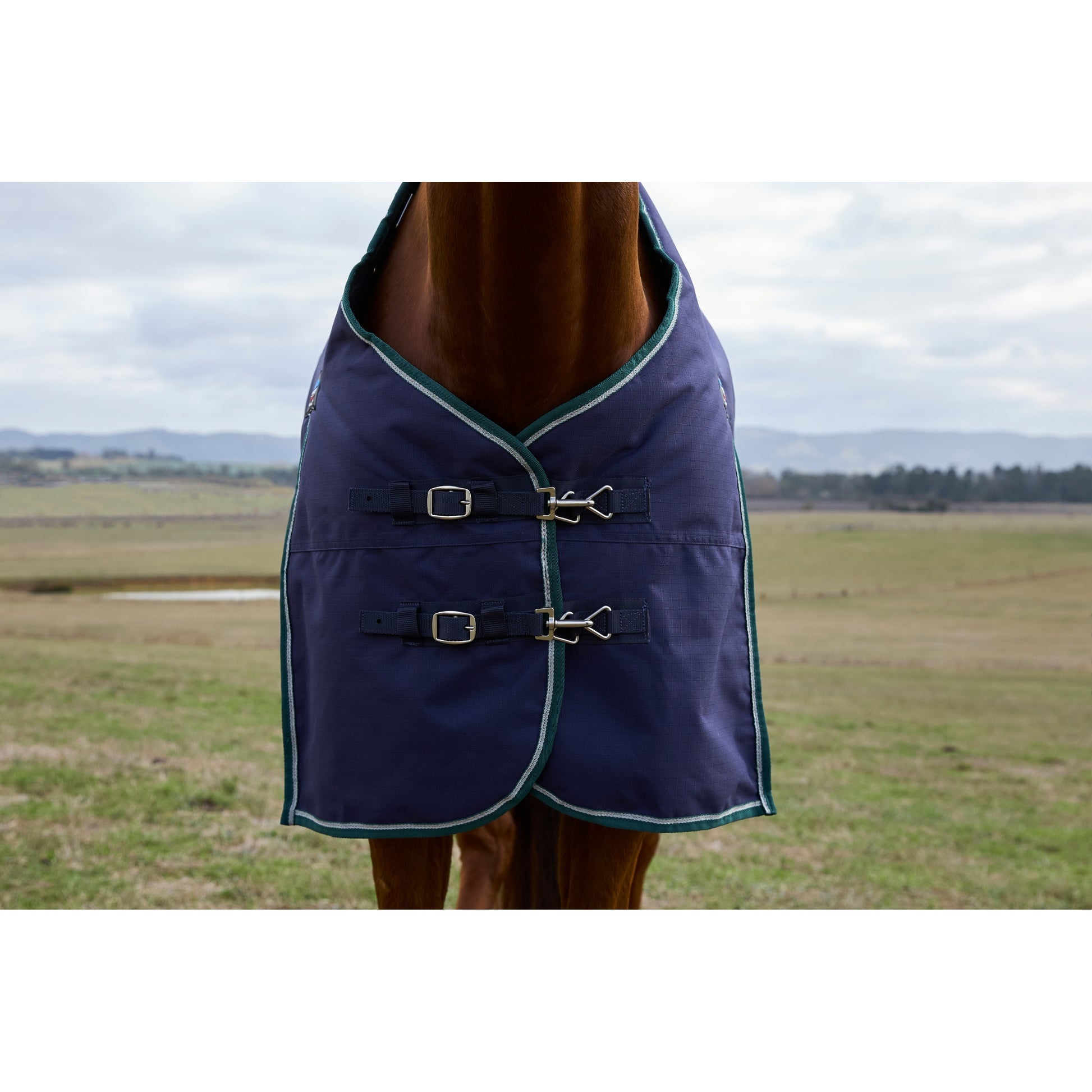 Weatherbeeta ComFiTec Plus Dynamic Turnout Standard Neck 100g