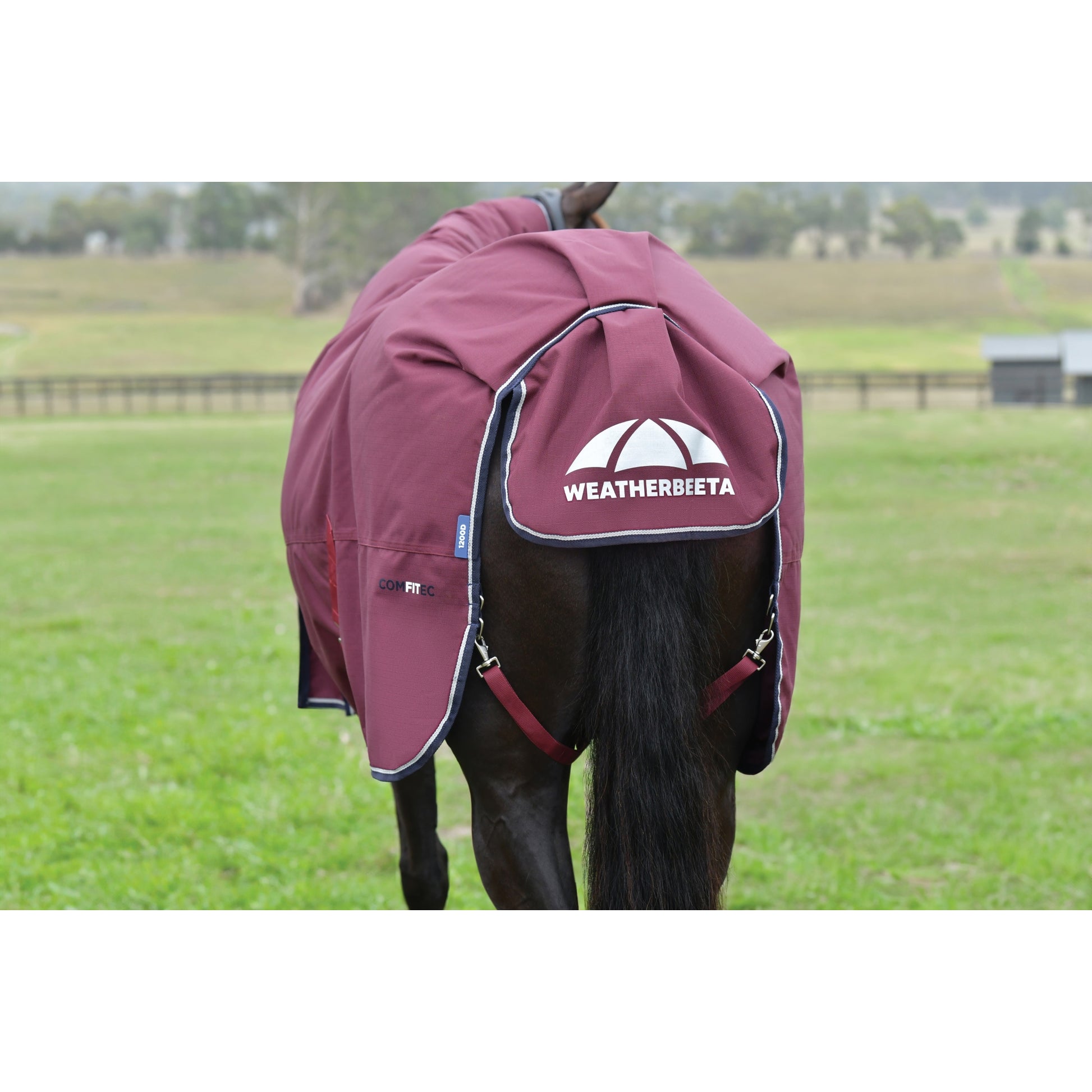 Weatherbeeta ComFiTec Essential Turnout Standard Neck 100g