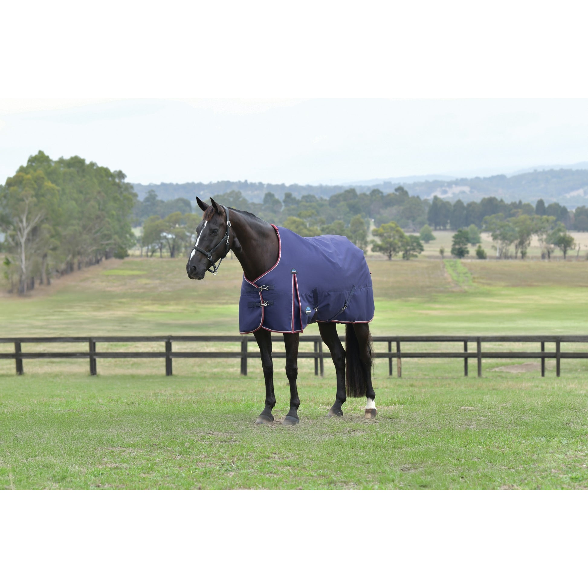 Weatherbeeta ComFiTec Essential Turnout Standard Neck 100g
