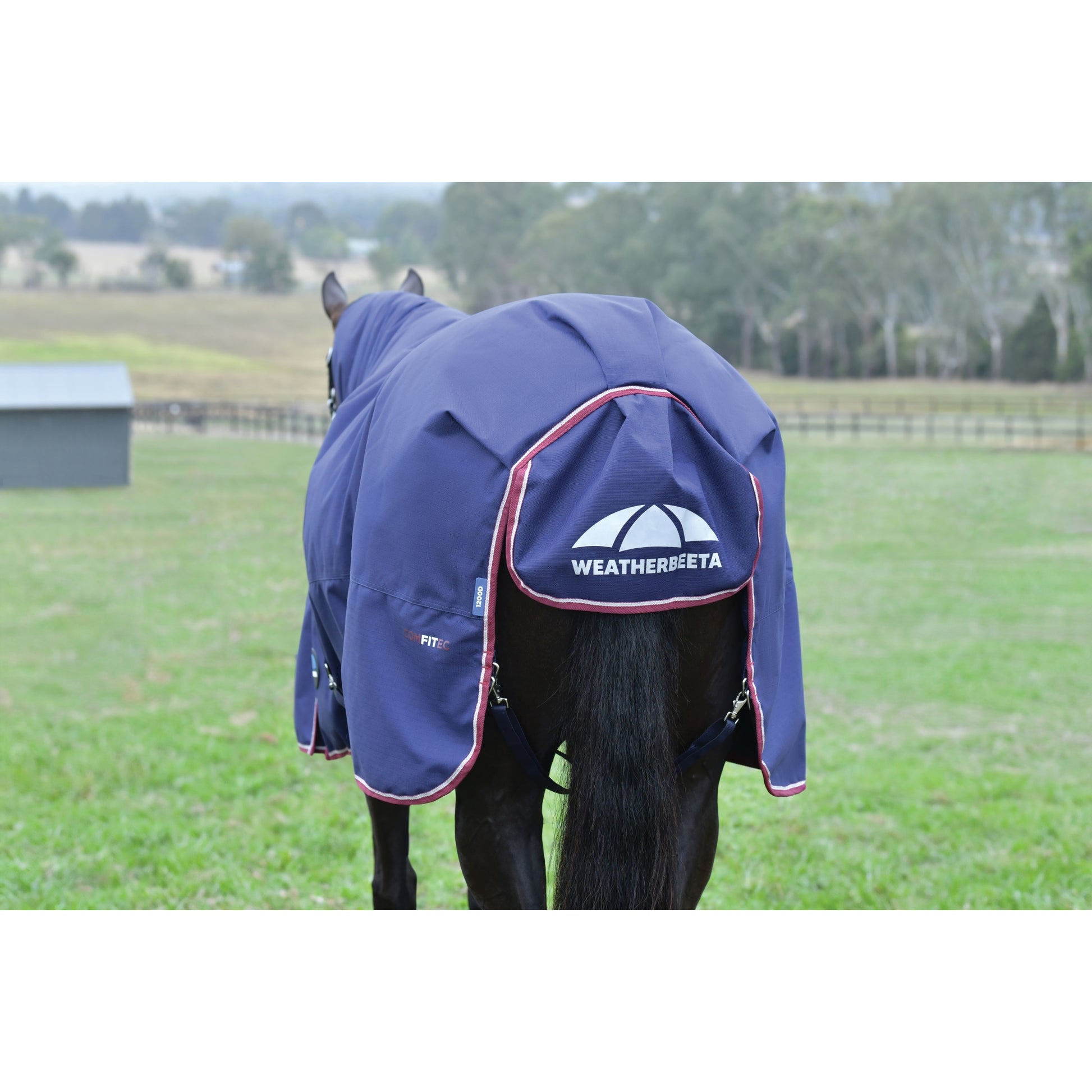 Weatherbeeta ComFiTec Essential Turnout Standard Neck 100g