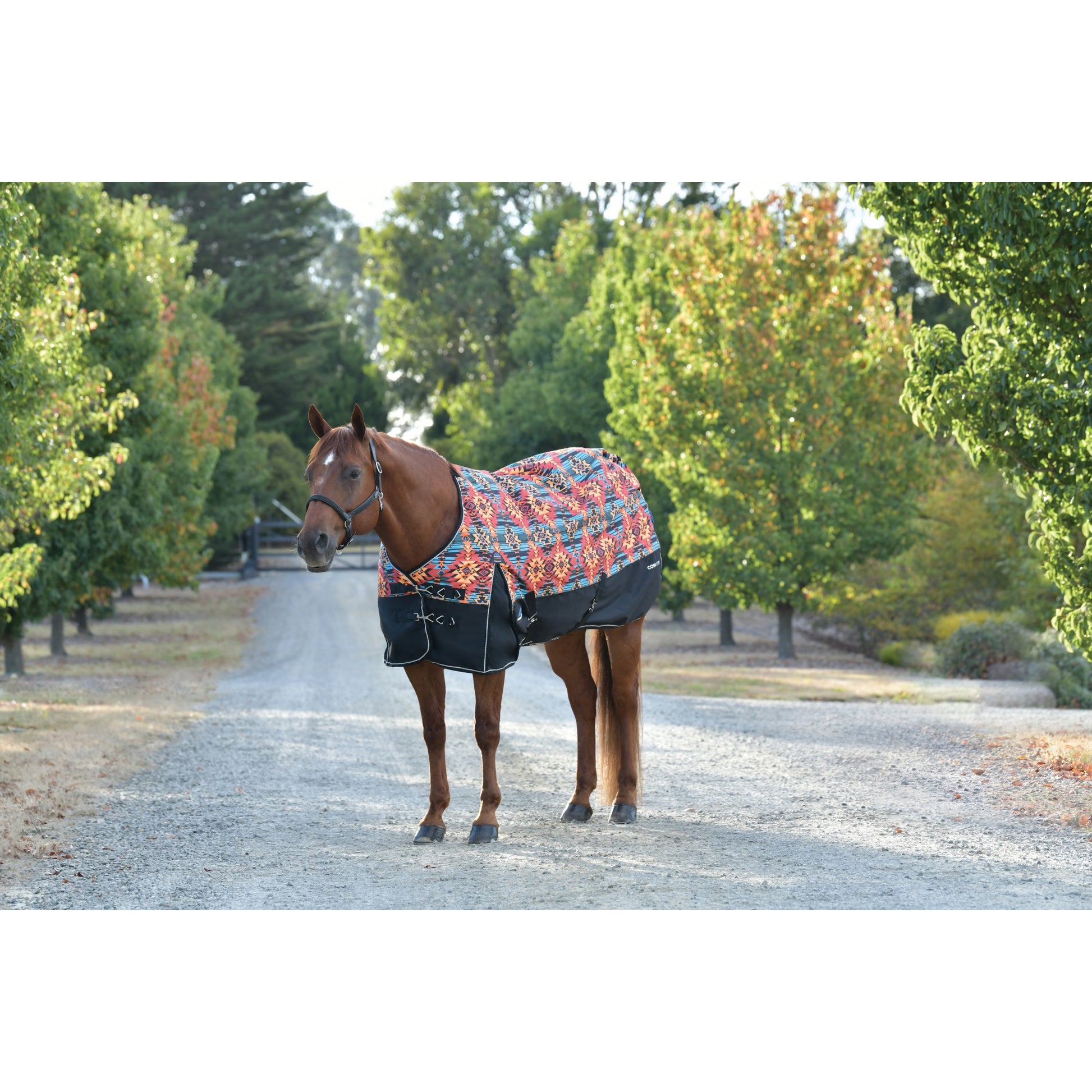 Weatherbeeta ComFiTec Essential Turnout Standard Neck 220g