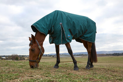 Weatherbeeta ComFiTec Classic Turnout Combo Neck 220g