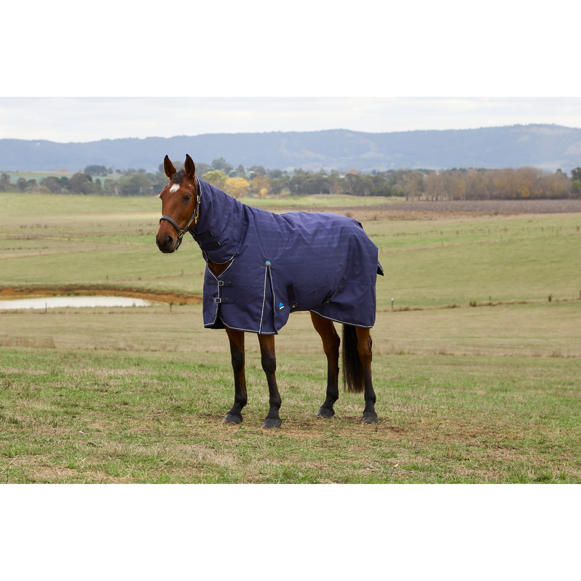 Weatherbeeta ComFiTec Prelim Turnout Combo Neck 0g