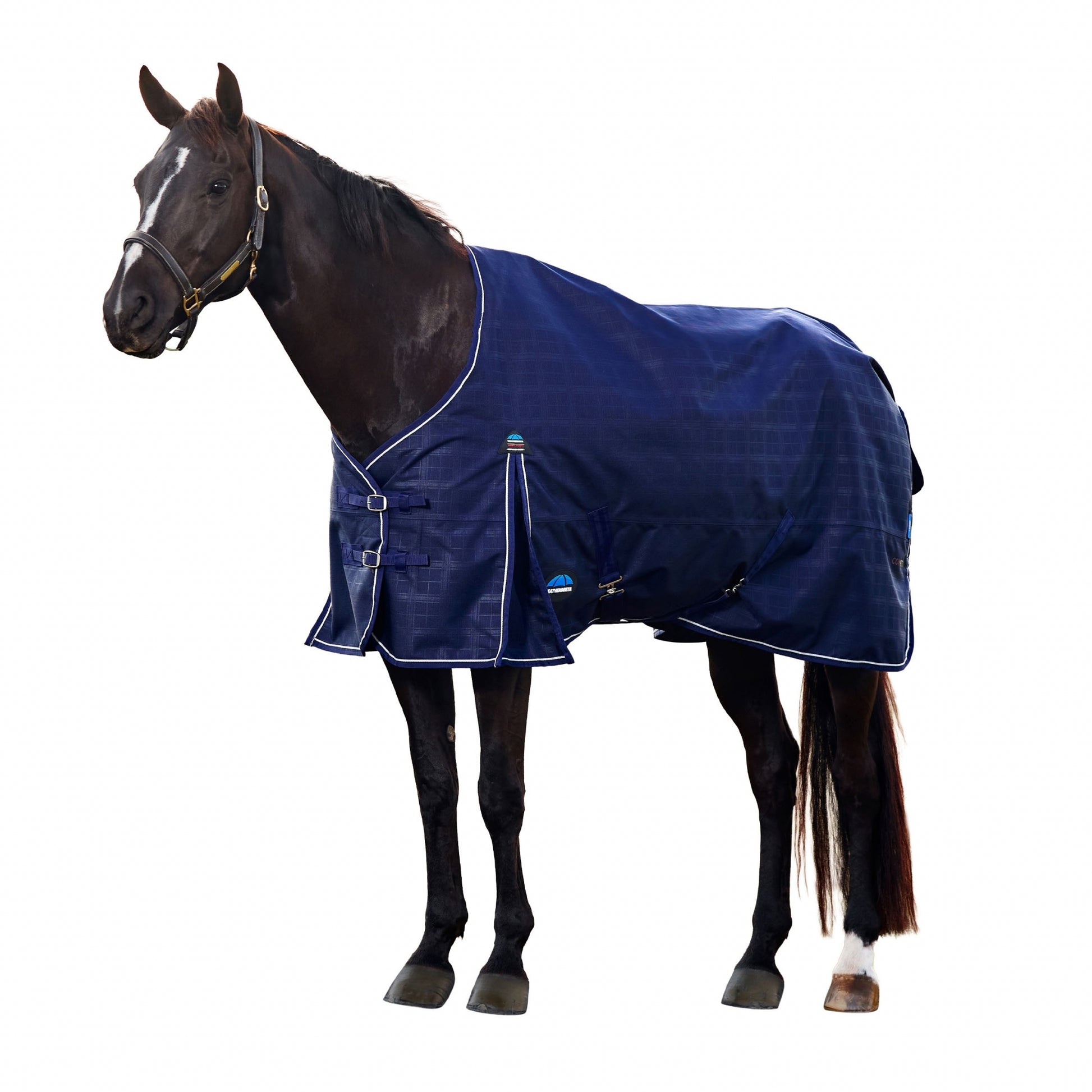 Weatherbeeta ComFiTec Prelim Turnout Standard Neck 360g