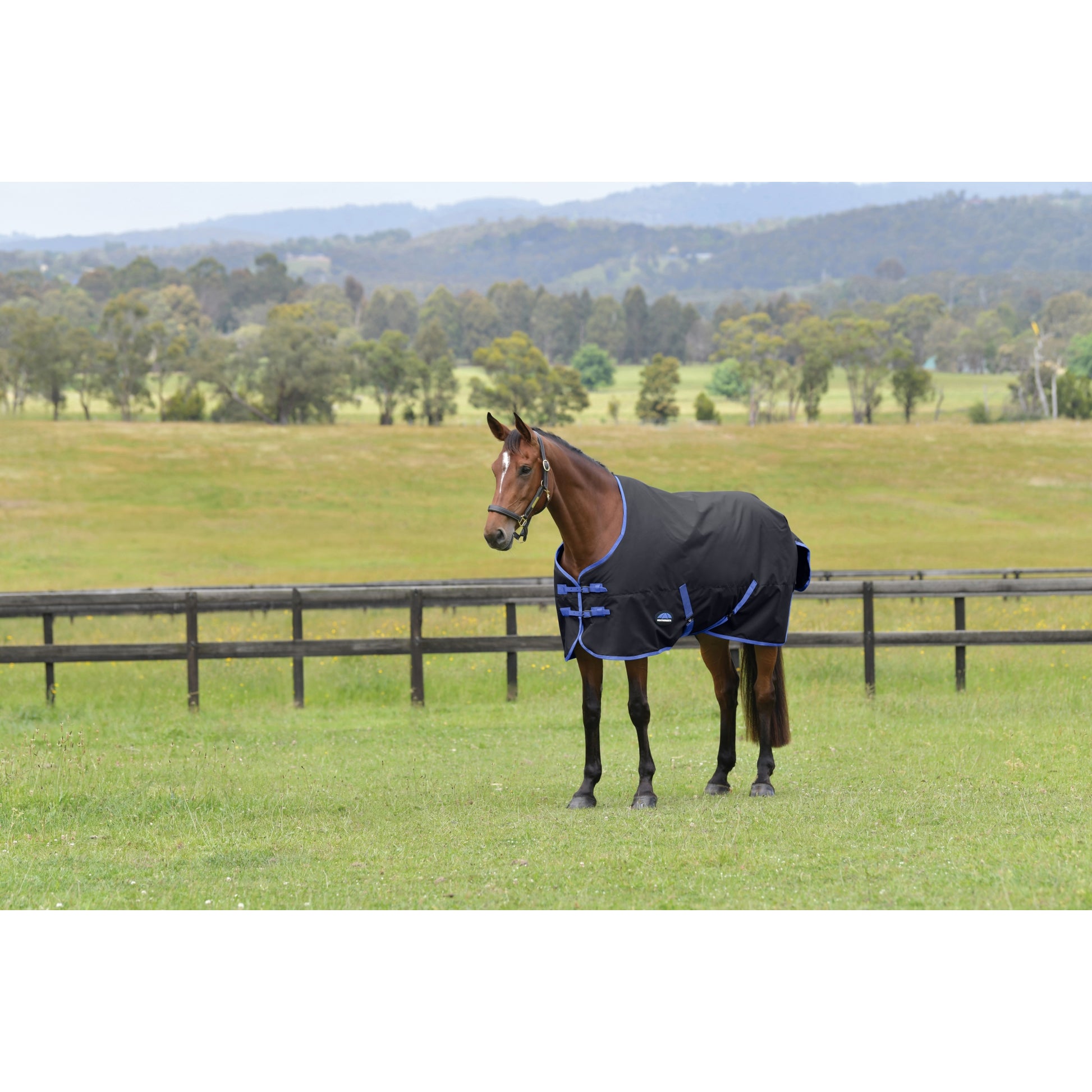 Weatherbeeta ComFiTec Tyro Turnout Standard Neck 220g