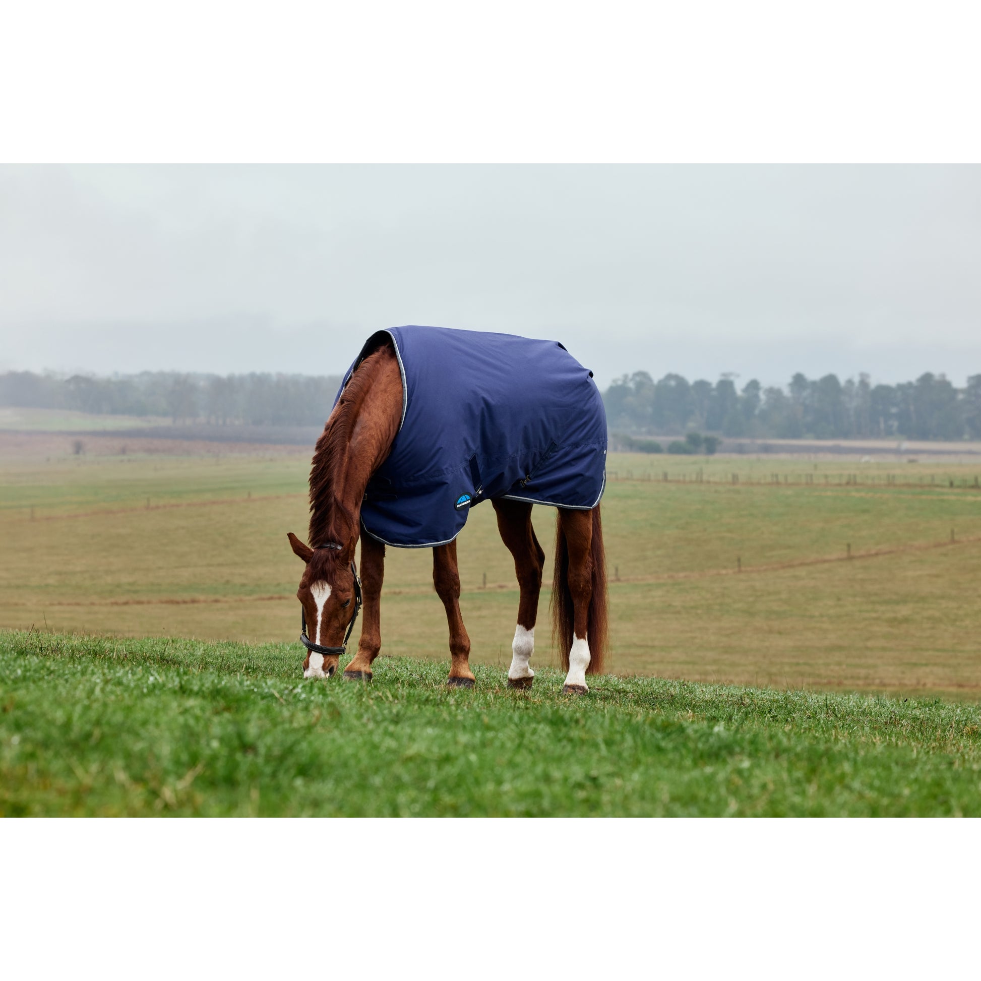 Weatherbeeta ComFiTec Tyro Turnout Standard Neck 220g