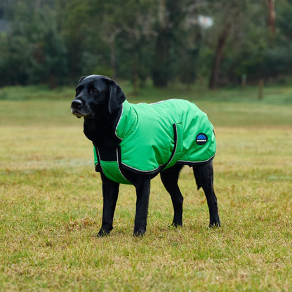 Weatherbeeta ComFiTec Reflective 300D Deluxe Showerproof Dog