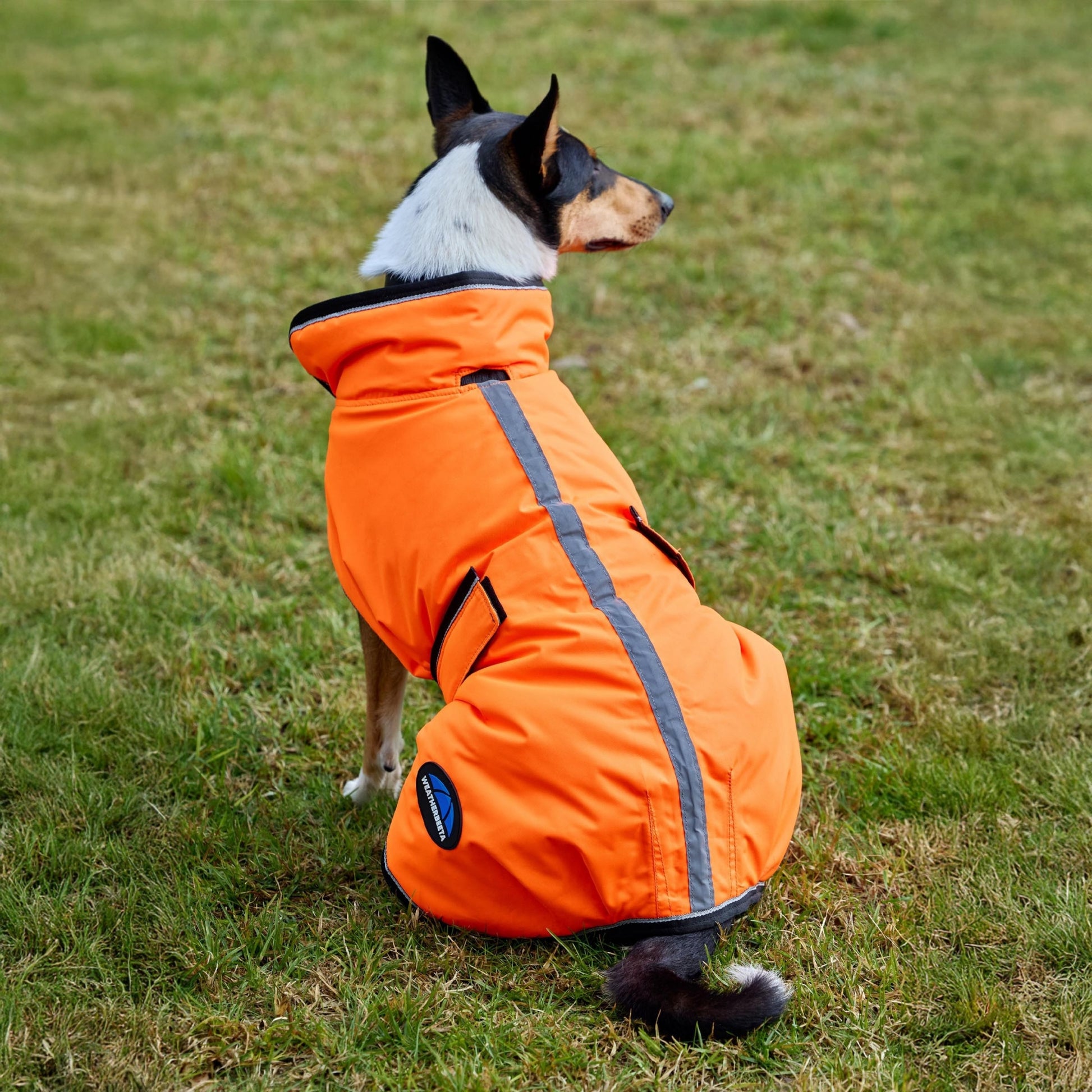 Weatherbeeta ComFiTec Reflective 300D Deluxe Showerproof Dog