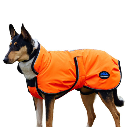 Weatherbeeta ComFiTec Reflective 300D Deluxe Showerproof Dog