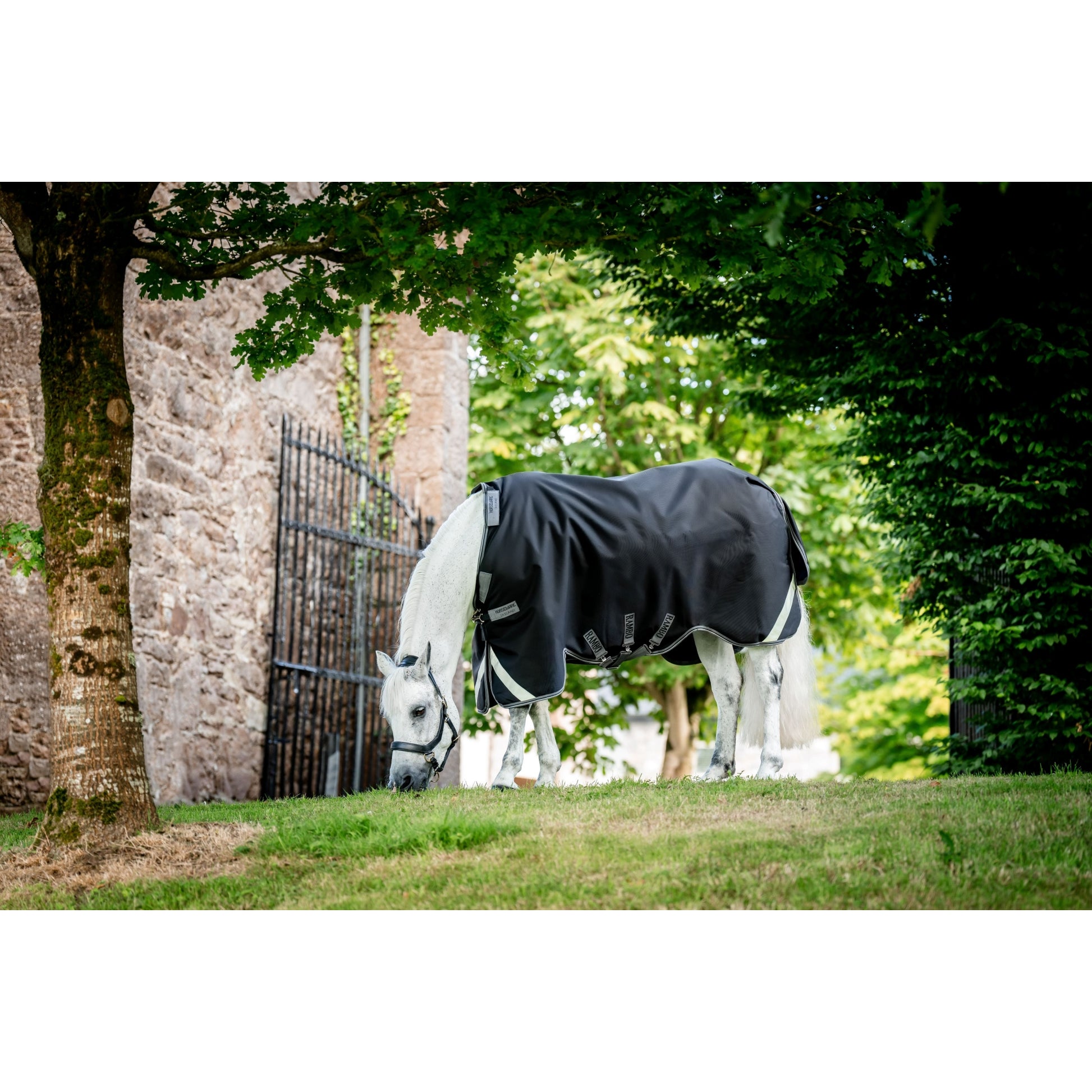 Rambo 1680D Turnout 100g