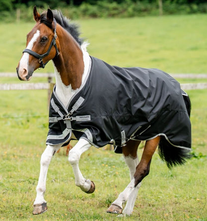 Amigo 1200D Turnout 0g