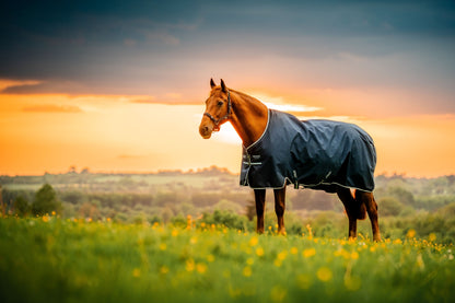 Amigo Ripstop 900D Pony Turnout 0g