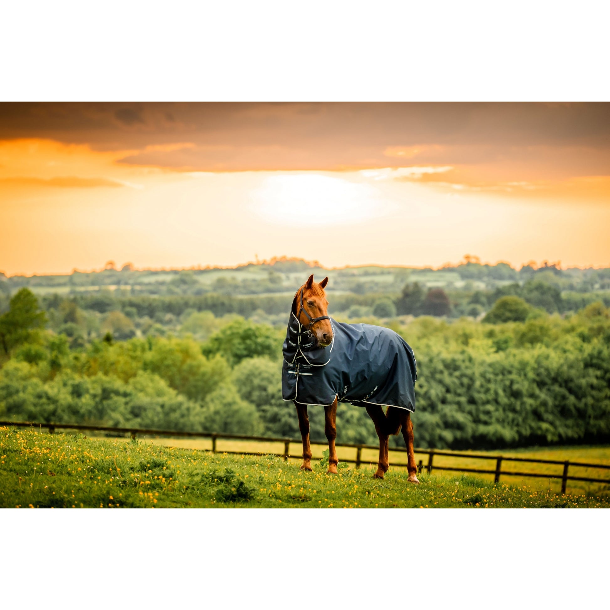 Amigo Ripstop 900D Plus Pony TO 100g