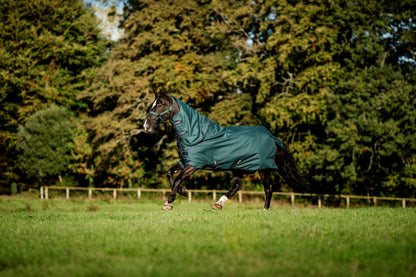 Amigo Ripstop 900D Plus Pony TO 200g
