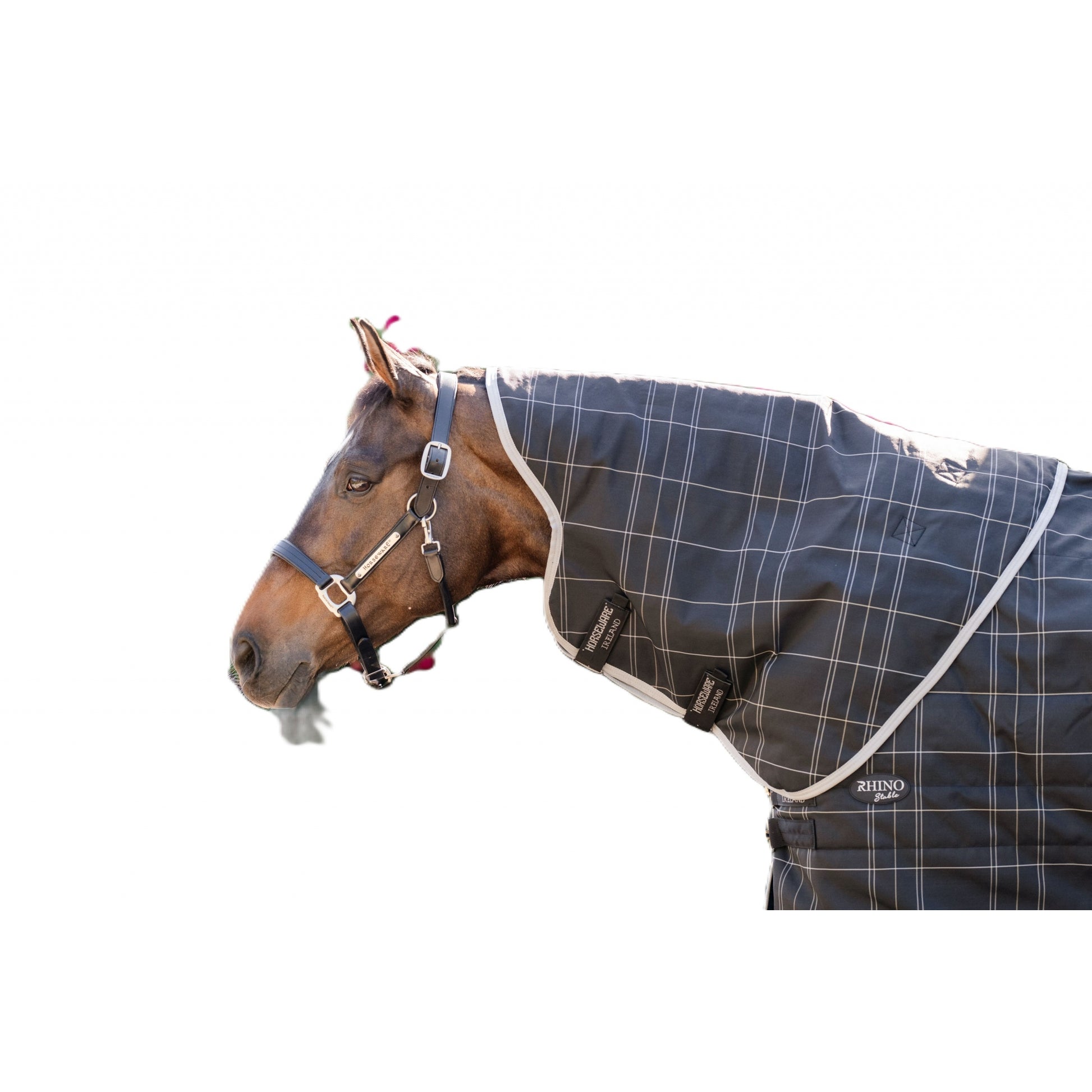Rhino Stable Hood 100g