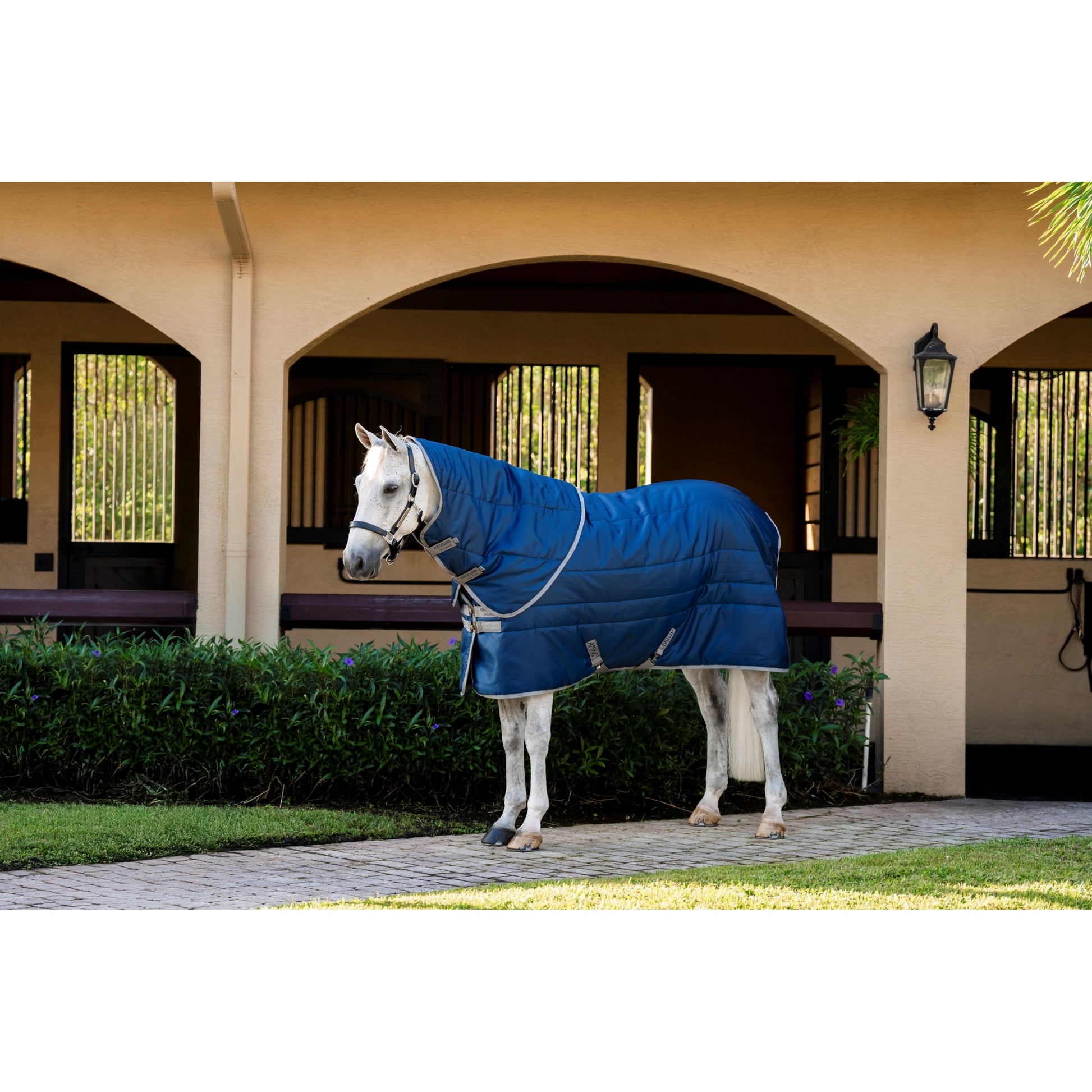 Amigo RS Insulator Plus Stable 200g