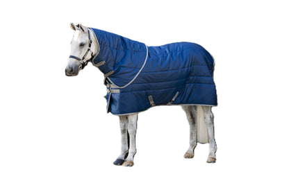 Amigo RS Insulator Plus Stable 350g