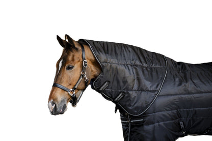 Amigo RS Insulator Plus Stable 350g