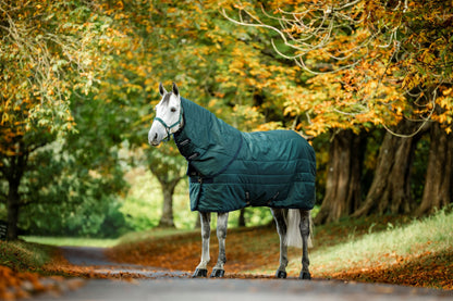 Amigo RS Insulator Stable Hood 100g