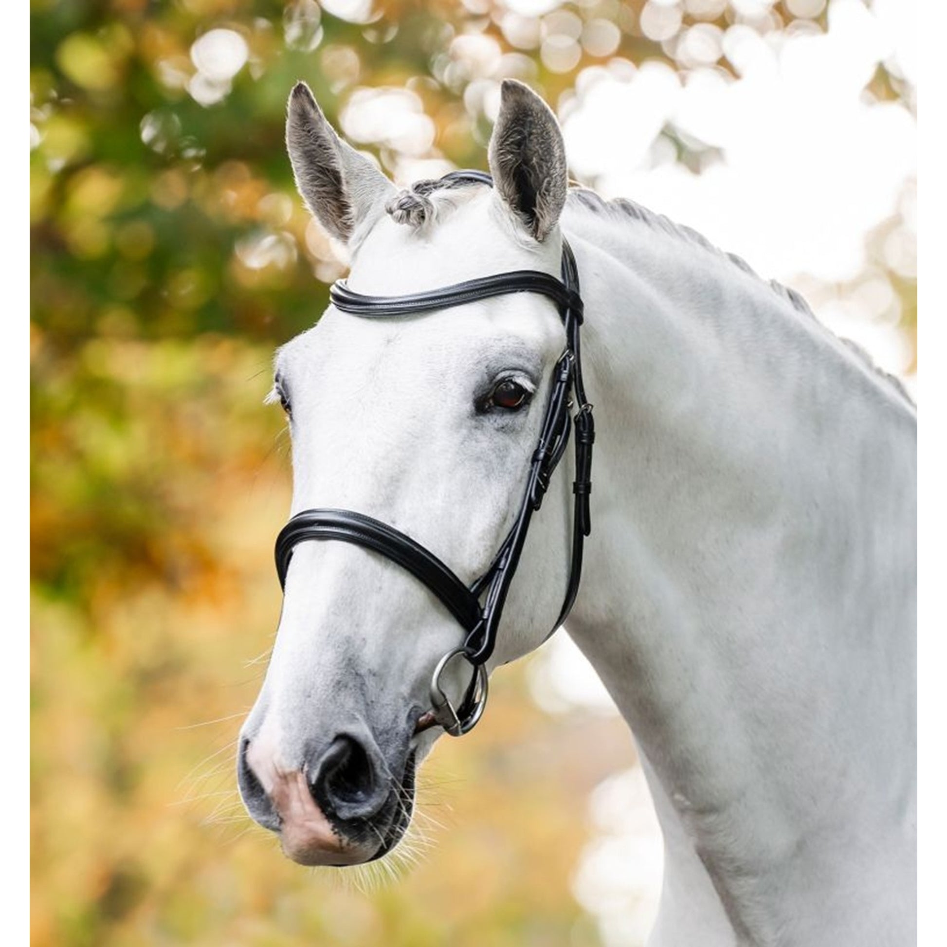 Horseware Cavesson Bridle