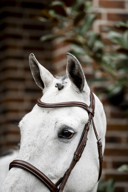 Horseware Cavesson Bridle