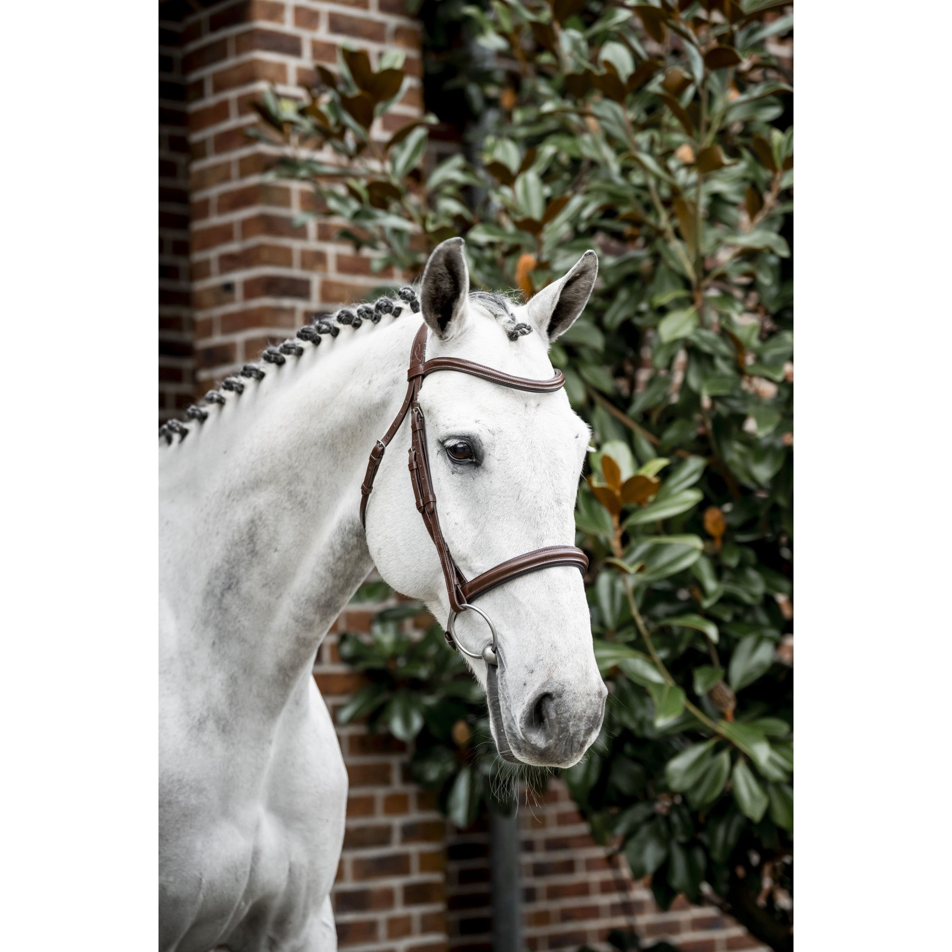 Horseware Cavesson Bridle