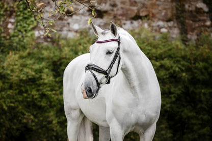 Horseware Diamante Flash Bridle