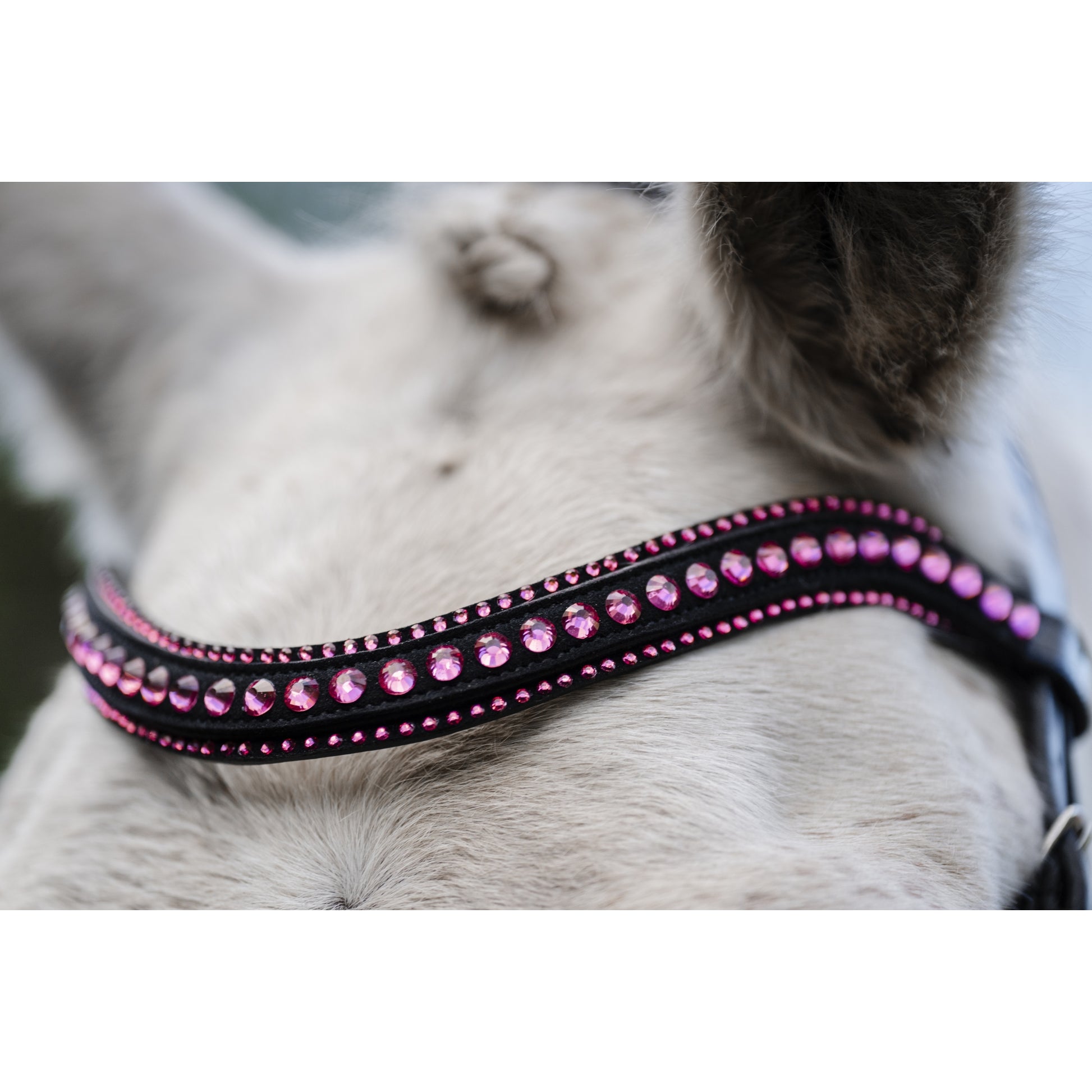 Horseware Pony Diamante Flash Bridle