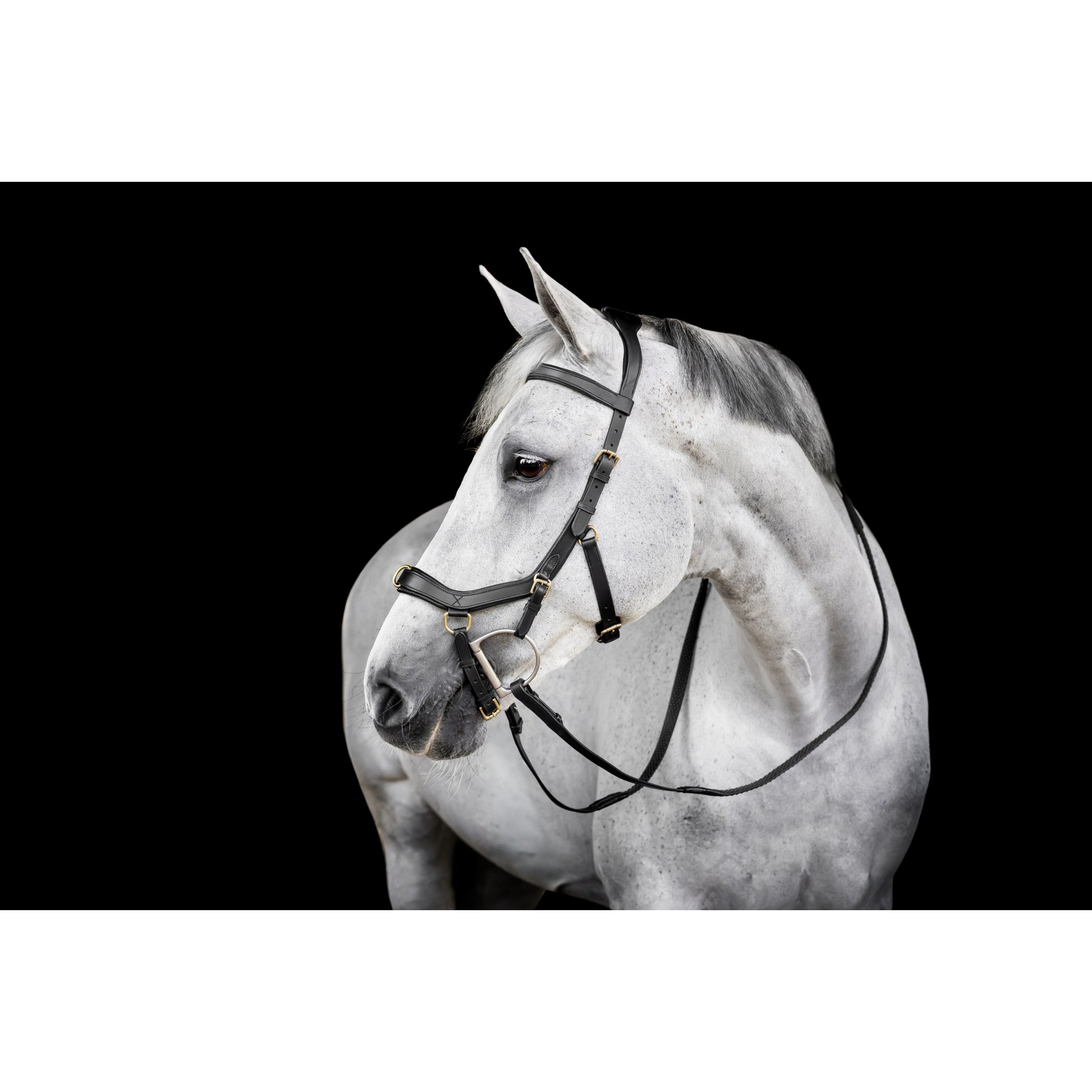 Horseware Micklem Multi Bridle