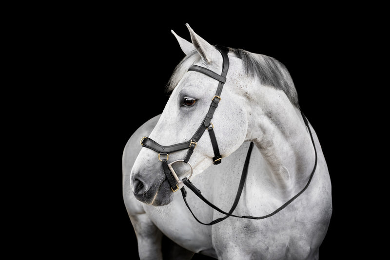 Horseware Micklem Multi Bridle