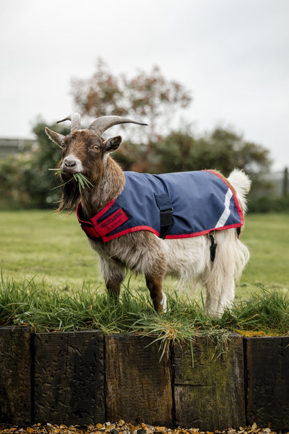 Horseware Goat Coat 200g