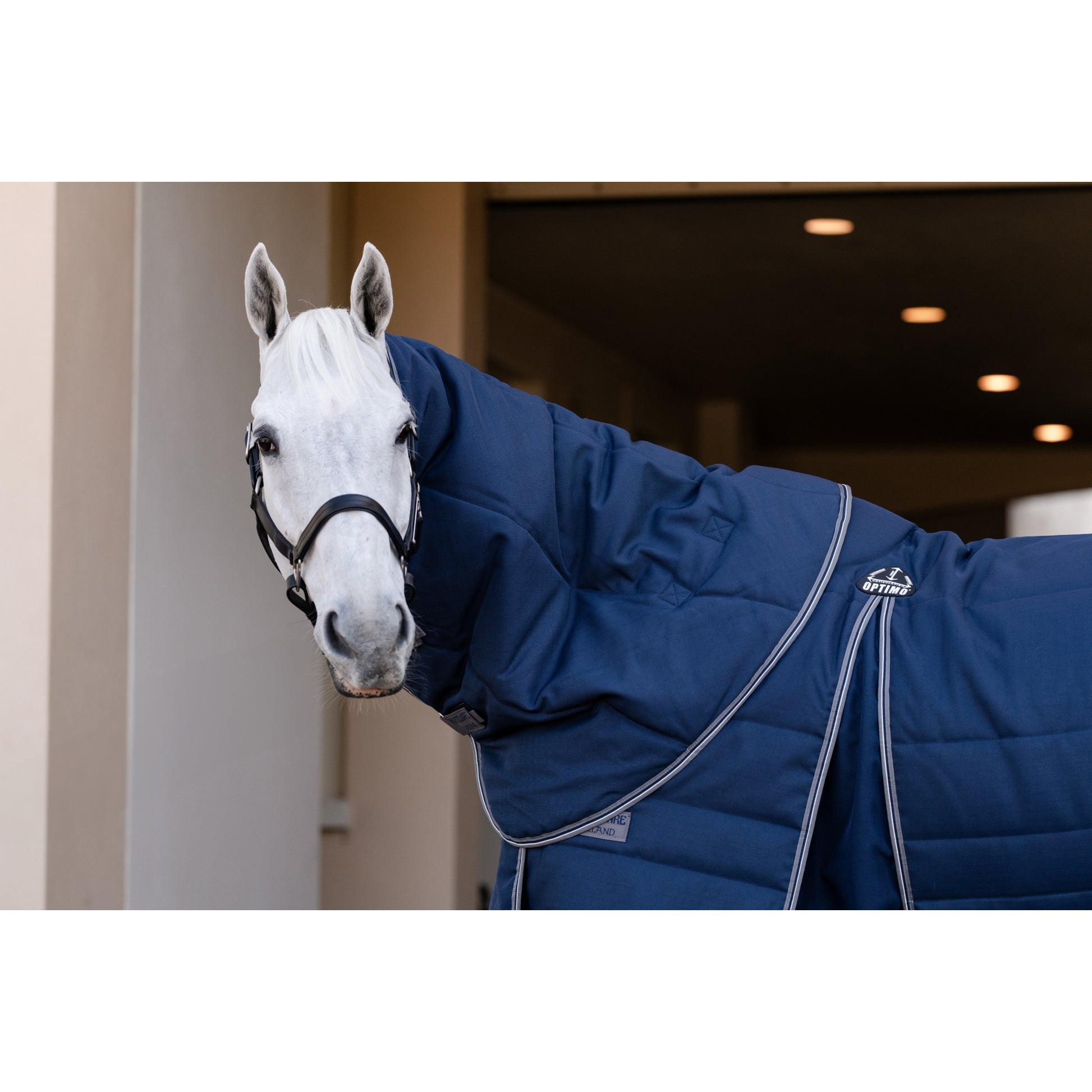 Rambo Optimo Stable Plus 200g