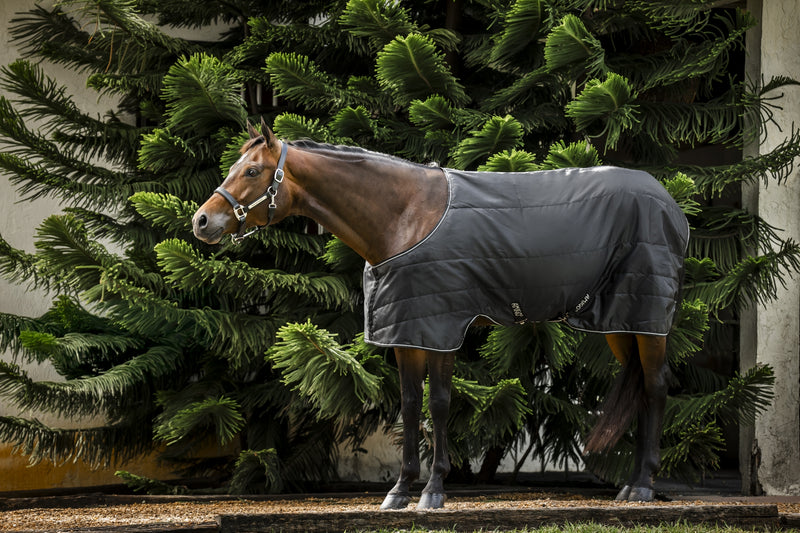 Amigo Quarter Horse Stable 200g