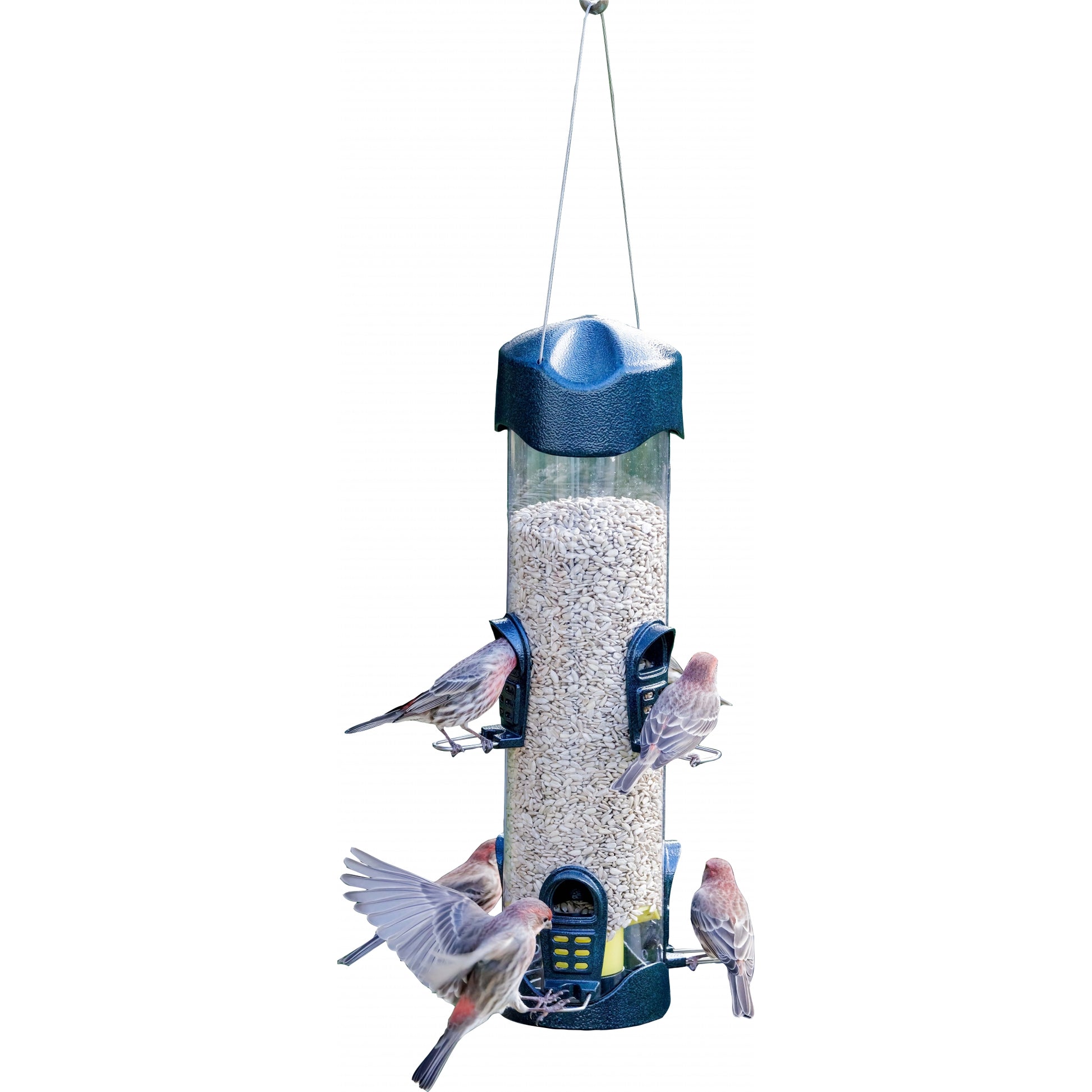Brome Mega 600 Tube Feeder