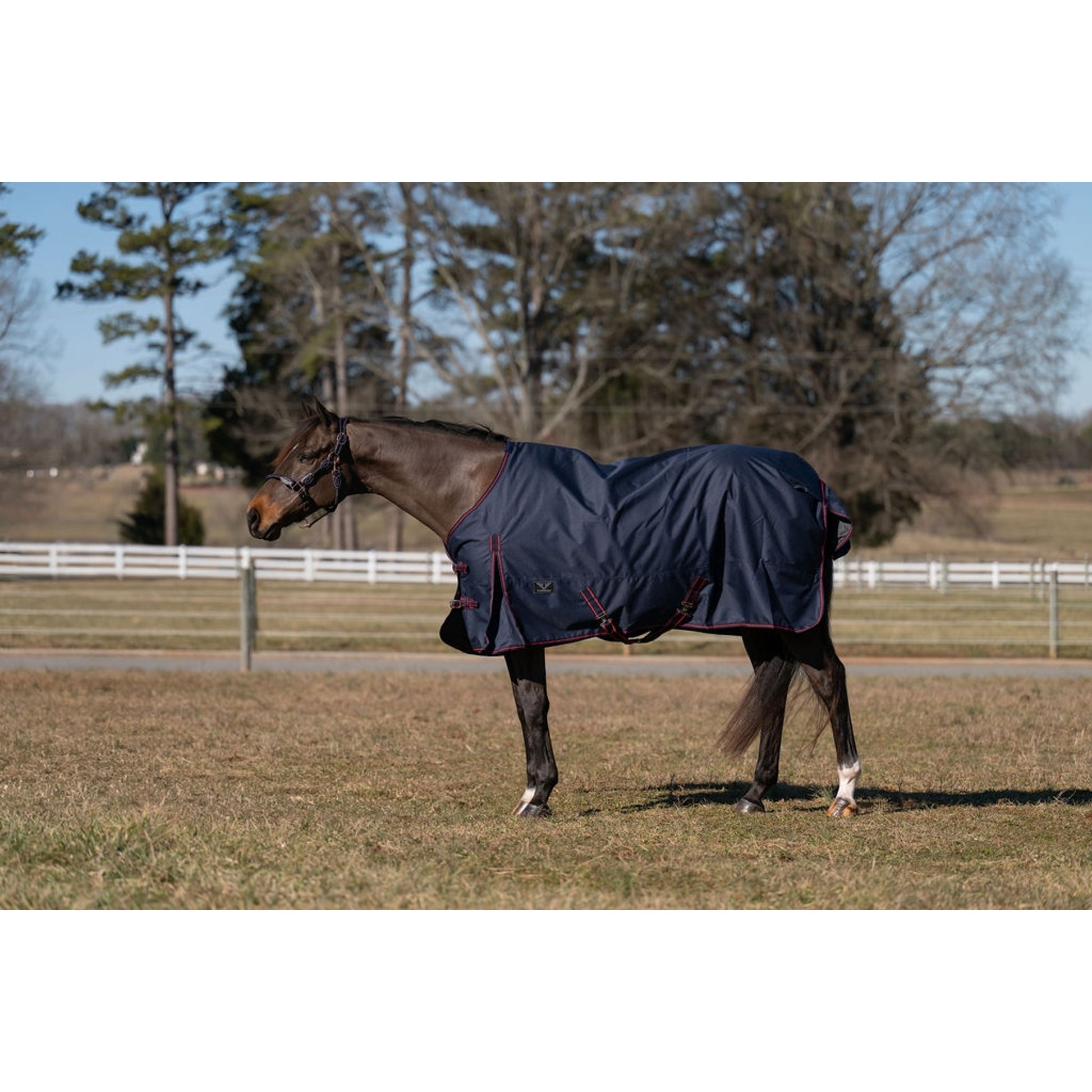 TuffRider Ripstop Standard Neck LightWeight Turnout Blanket with 100 GSM Fill
