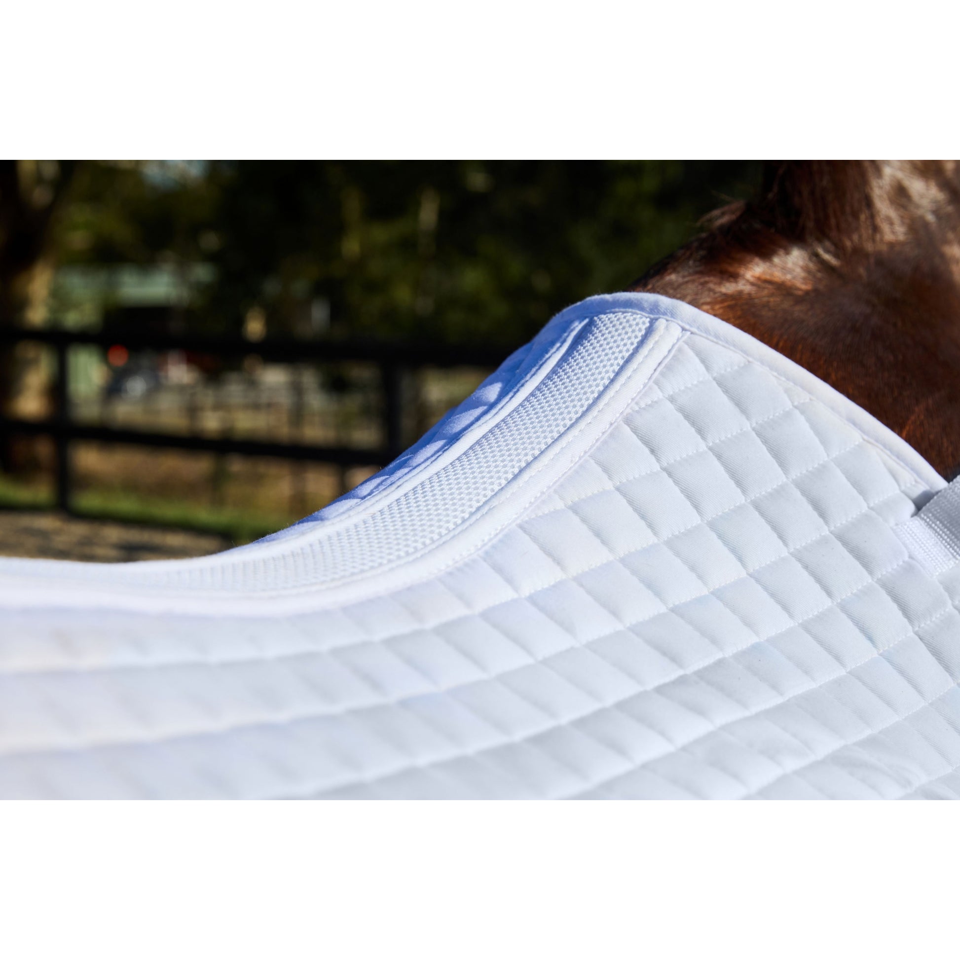 Weatherbeeta Prime Air-Tec Dressage Saddle Pad