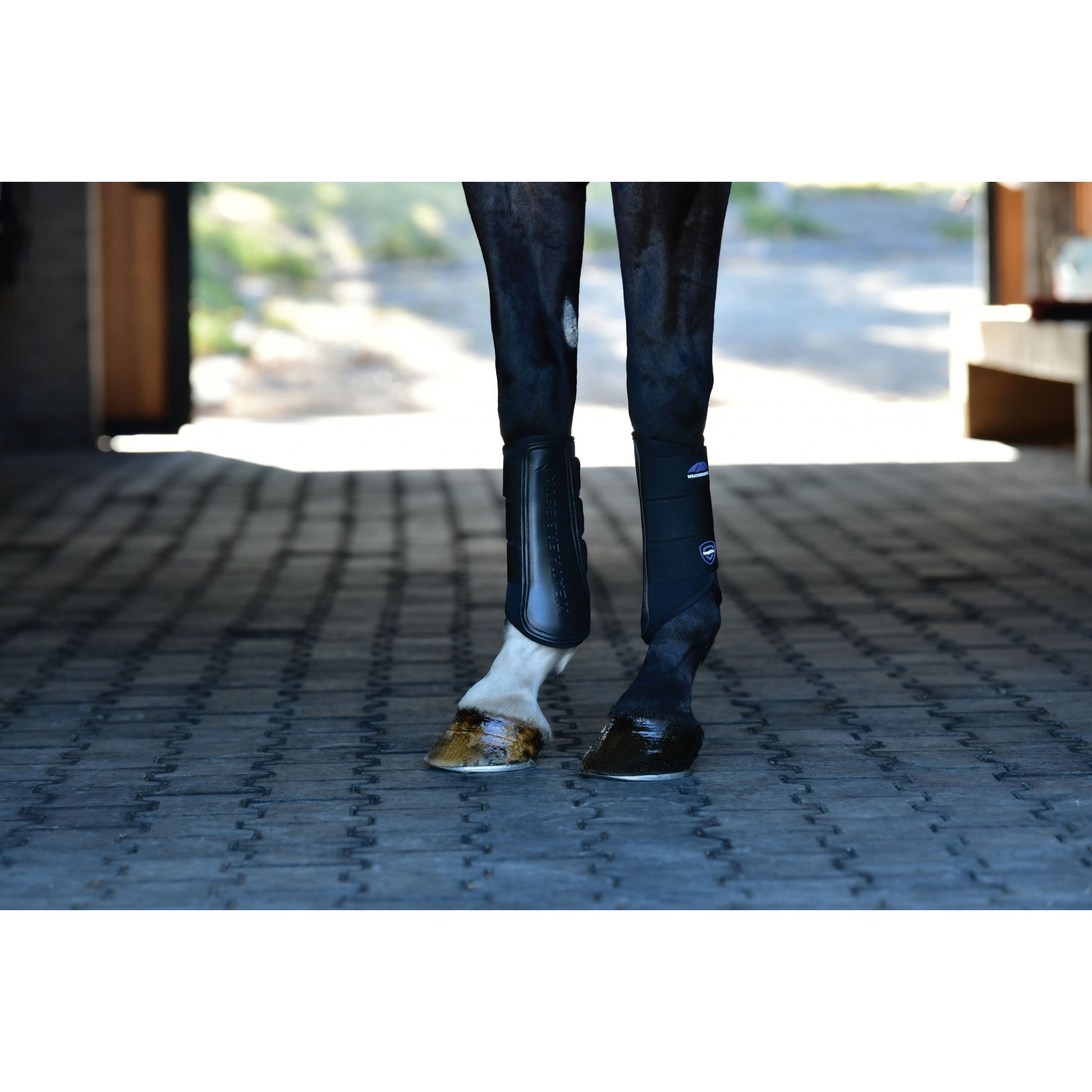 Weatherbeeta Tough-Tec Prime Brushing Boots