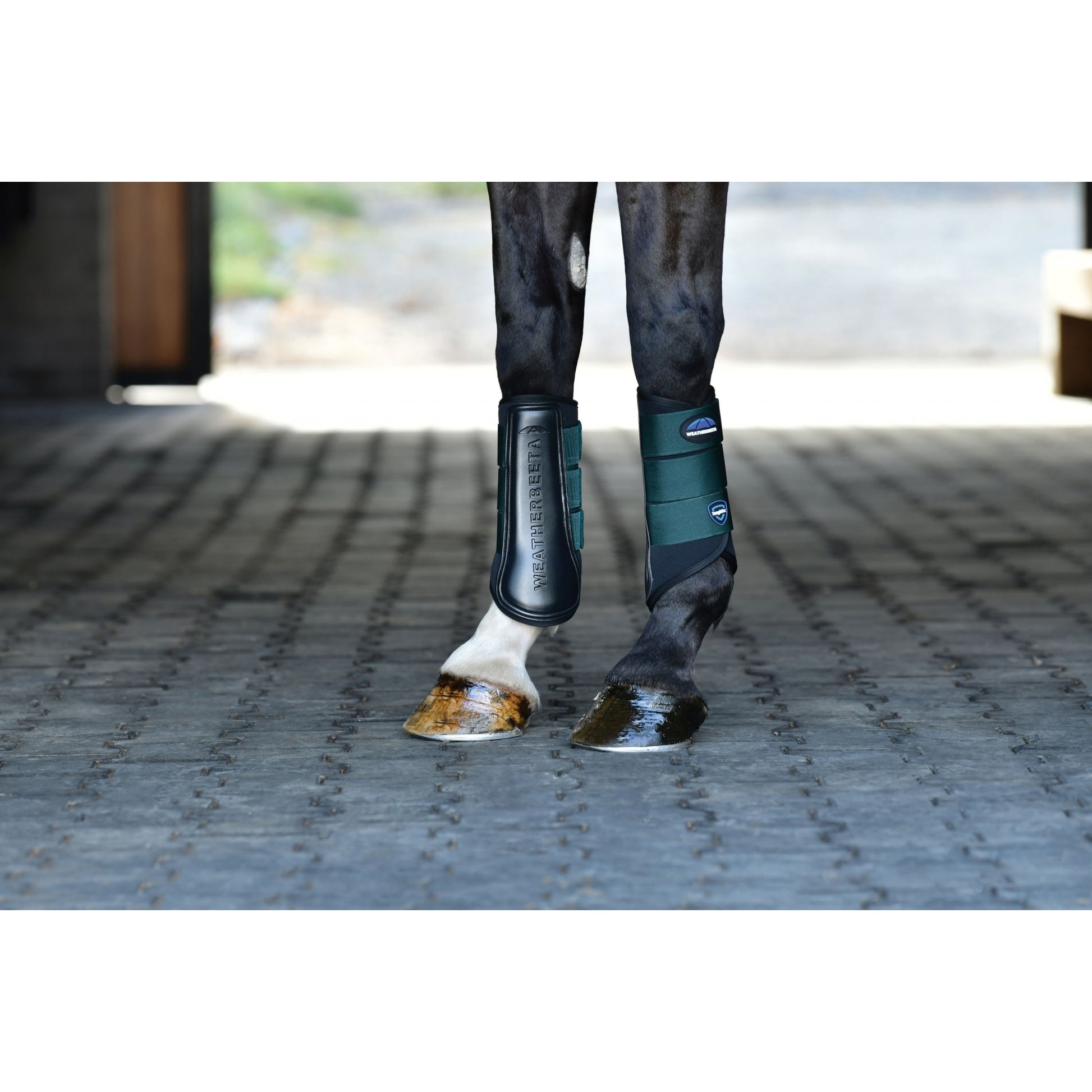 Weatherbeeta Tough-Tec Prime Brushing Boots
